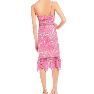 gianni bini camilla lace dress